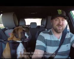 Boxer Dog And Drift Champion Vaughn Gittin Jr Get Nuts in a Ford Fiesta ST!