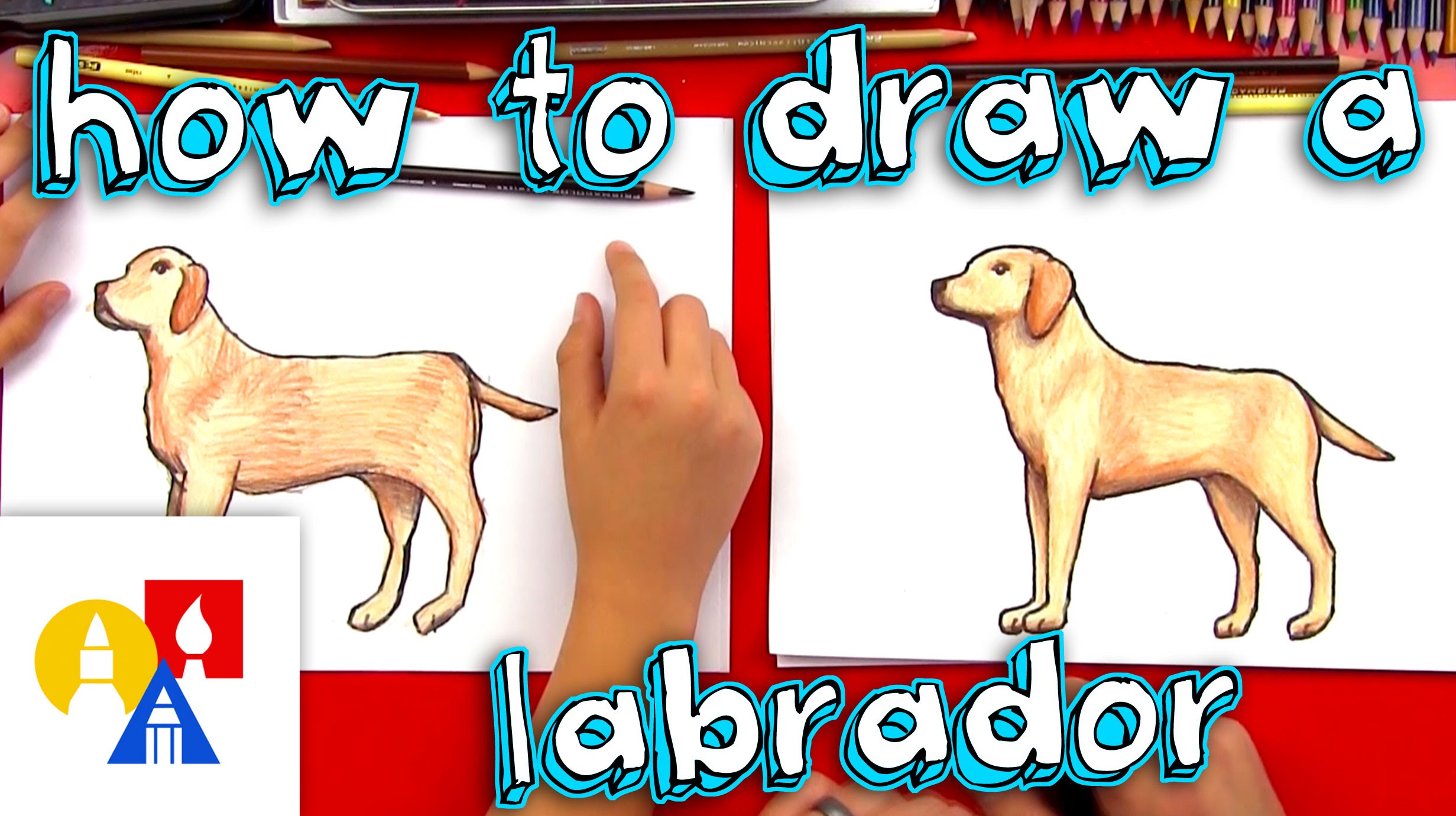 Top How To Draw A Labrador Retriever of the decade Don t miss out 