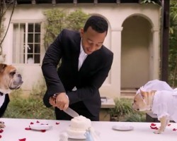 Want to see the most adorable wedding that John Legend has ever sung at? Check this out!