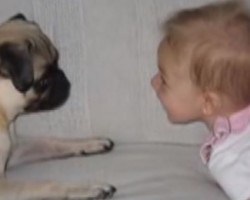 WATCH: Cute, Real Love Story Between Two Adorable Creatures