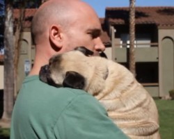 Pug Does The Cutest Thing Ever To His Dad When He Is Sad