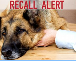 BREAKING NEWS: Three Types of Pet Food Recalled