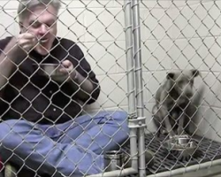 Veterinarian Eats Breakfast While Sitting in Cage To Keep Rescued Pit Bull Company