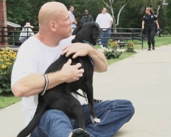 They Took Stray Dogs And Paired Them With Prison Inmates. Now Watch What The Inmates Do…
