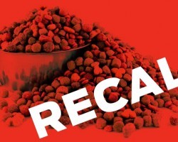 RECALL ALERT: Variety of Dog Foods From This Well Known Brand Recalled