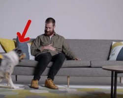 They Had Them Sit On The Couch. But When They See Their Dogs? OMG!