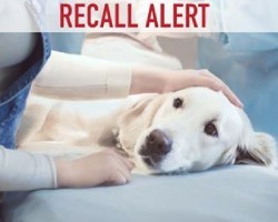 BREAKING NEWS: Leading Brand Issues Pet Food Recall