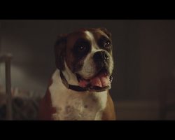 (Video) This Christmas Advert Is The Only One You Need To Watch This Holiday Season