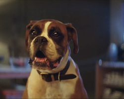 Dog Lovers, Get Ready for the Cutest Christmas Ad of All Time
