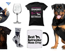 20 Items That All Rottweiler Lovers Need To Have