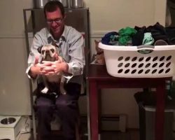 This Silly 15-Year-Old Pug Playing Peekaboo With His Human Will Make Your Day