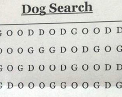 The World’s Hardest Word Search?! This little brainteaser is giving a lot of people a hard time!