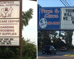 15 hilarious vet signs guaranteed to put a smile on your face