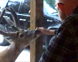 Her sick father was about to die, but that’s when a deer showed up