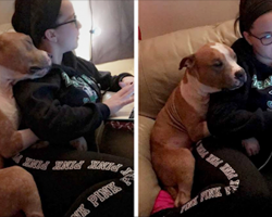 Dog Can’t Stop Hugging The Woman Who Adopted Her
