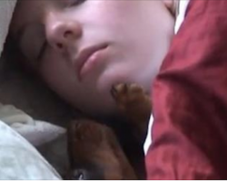 [Video] Woman Gets Woken Up In The Most Adorably Gentle Way By Her Dog