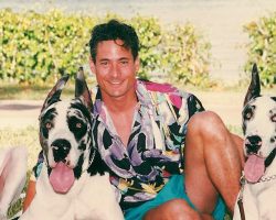 15 Celebrity Great Dane Owners