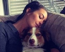 9 Celebrity Border Collie Owners