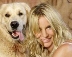 16 Celebrity Golden Retriever Owners