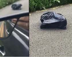 Woman pulls over to find out what’s inside a trash bag walking down the road