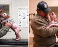 Man returns to adopt the dog he rescued, and the surprised pup couldn’t be happier