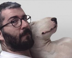 This guy’s ex-wife left him with nothing but a dog. So this is what he did…