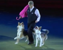 Dogs Dance To ‘Singing In The Rain’ And Absolutely Charm Audience
