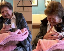 Elderly Woman Was Extremely Lonely, Then She Met A Dog Who Helped Fill The Void