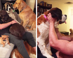 This Man Won’t Stop Adopting Rescue Animals, And Here’s How He Lives