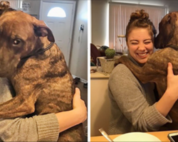 Dog Rescued 1 Year Ago Still Continues To Hug His New Mom Every Day She Comes Back Home