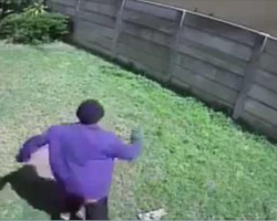 Hidden camera captures burglar entering through backyard. Now watch dog scare him off