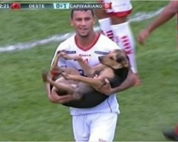 Dog Interrupts Soccer Game And That’s When The Announcer Says Greatest Thing Ever