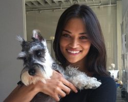 12 Celebrity Schnauzer Owners