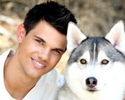 10 Celebrity Husky Owners