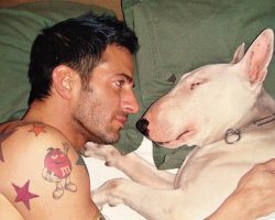 10 Celebrity Bull Terrier Owners