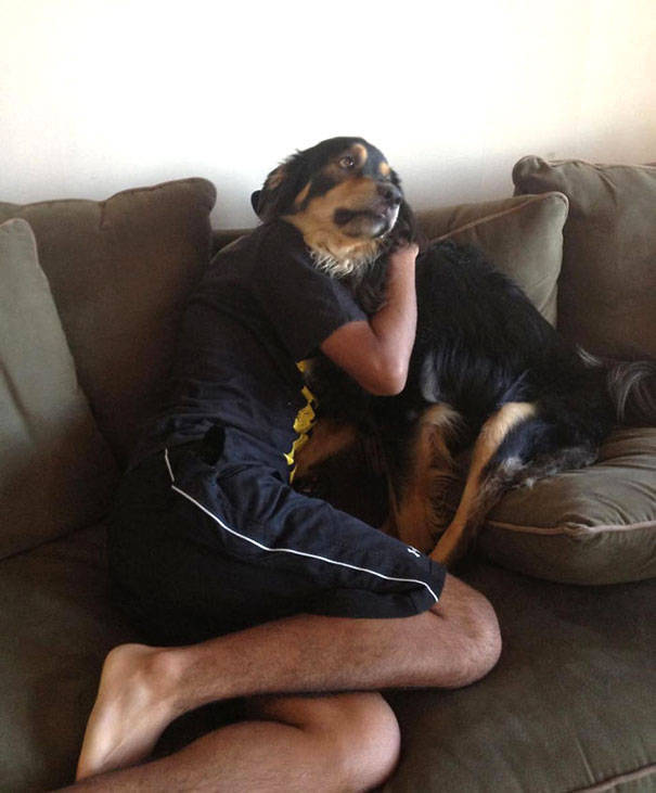 21 Hilarious Photos of Dogs that are Perfectly Timed