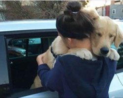 13 heartwarming photos of dogs hugging their humans