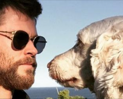 13 Celebrities Who Love Dogs!