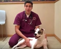 Vet shares two ways to perform the Heimlich maneuver — a must see for pet owners