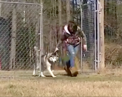 After spending his entire life on a chain, Biscuit is shown an empty field