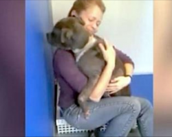 Blind Pit Bull Refuses To Leave This Woman’s Embrace. Now Watch Where She Takes Him…