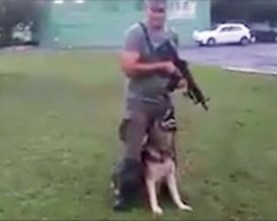 Soldier and dog are preparing for tactical training, but nobody is prepared when they bust out their own dance moves