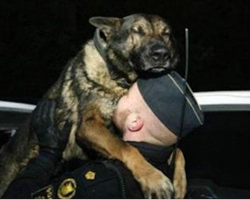 The Emotional Story Behind Touching Photo Of K9 And His Handler