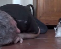 Man drops down to the floor next to his puppy. Get ready to see their amazing interaction