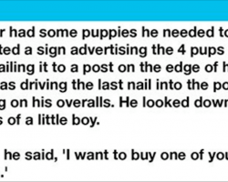 A boy picks out a crippled pup to buy from the farmer for the most heartwarming reason