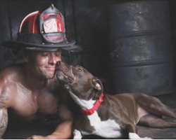 Formerly Abused Caitlyn The Dog Poses With Hunky Firefighters In Charity Calendar