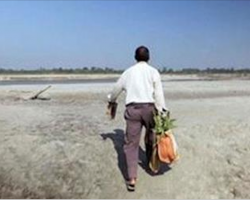 Every day, man plants trees in same spot. 37 years later, his masterpiece takes our breath away