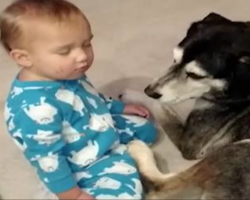 Baby Boy Is About To Knock Out, But Mom’s Heart Melts When Her Dog Does THIS