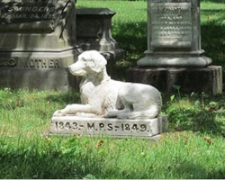 New State Law Allows Pets To Be Buried With Their Humans