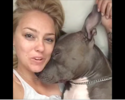 This is what happens when you wake a pit bull from a deep sleep
